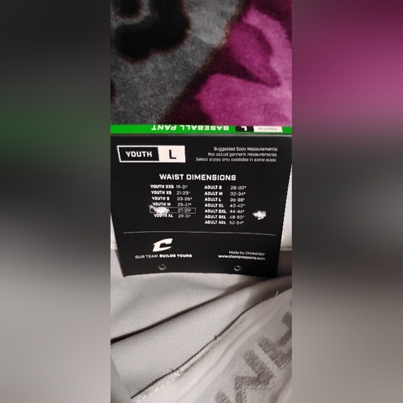 champro baseball pants youth L gray knicker elastic bottom - Picture 12 of 13